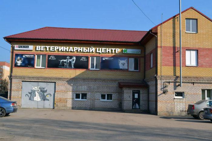 Швидка допомога домашнім тваринам - це ветеринарна клініка в Пскові